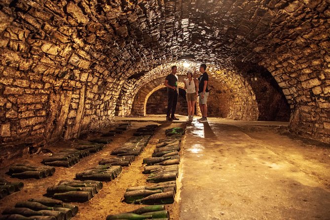 Private Bohemia Wine Tour from Prague with Gourmet Tastings - Why Bohemian wine country is worth a day from Prague
