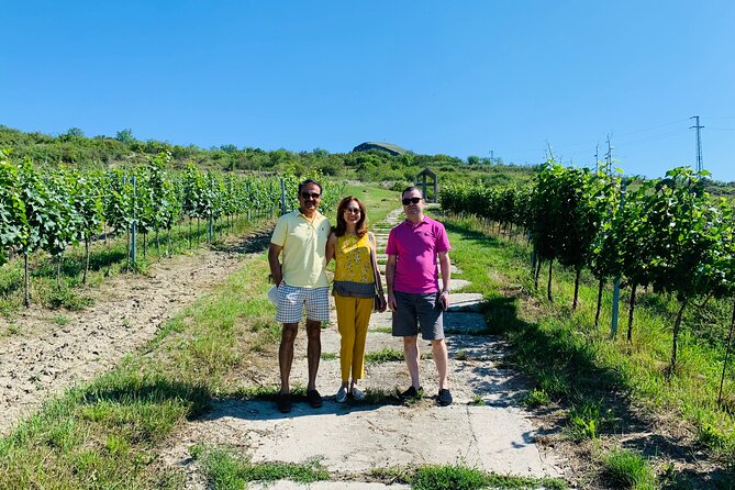 Private Bohemia Wine Tour from Prague with Gourmet Tastings - Žalhostice and the volcanic slopes of Radobýl