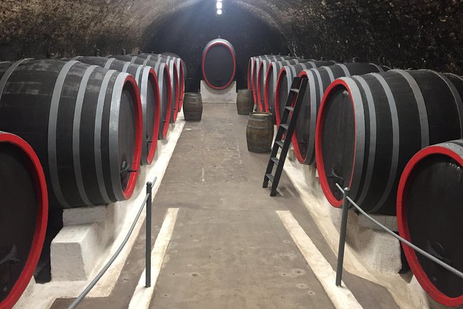 Private Bohemia Wine Tour from Prague with Gourmet Tastings - Třebívlice and the modern finish