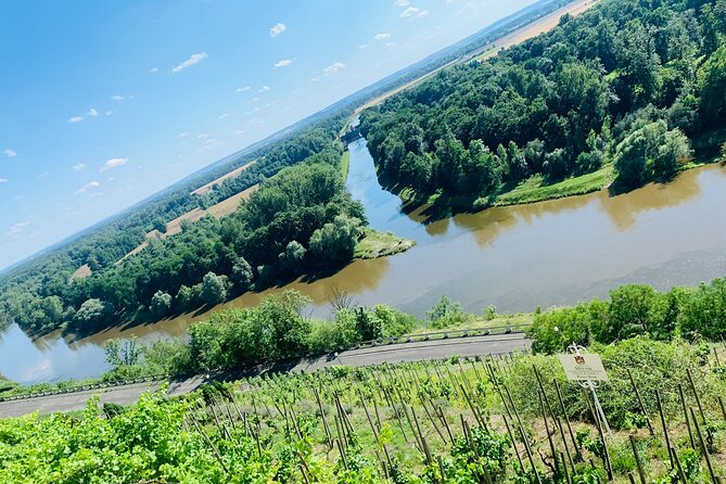 Private Bohemia Wine Tour from Prague with Gourmet Tastings - Mělník château, rivers, and the first glass