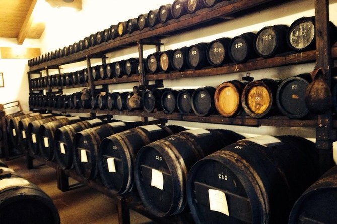 Private Day Tour & Lunch: Parmesan, Wine, and Vinegar Tasting - Why this Emilia-Romagna food day works