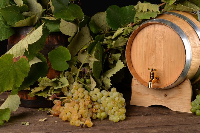 Private Day Tour & Lunch: Parmesan, Wine, and Vinegar Tasting - My recommendation for your Bologna food day