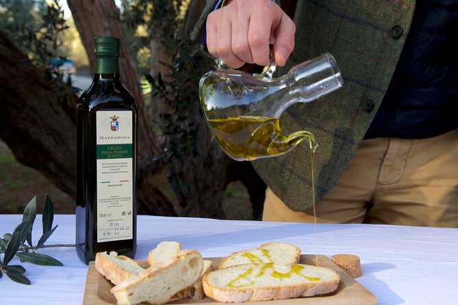 Private Food and Wine Tour in the Cellar with Tastings - Five wines, not just a quick sample