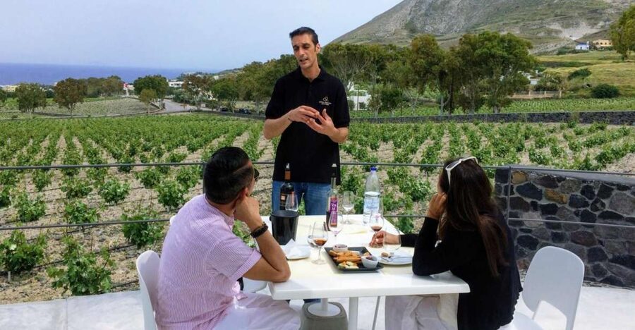Private Group Visit to Akrotiri & 3 Wineries with Tastings - The guides shape the experience