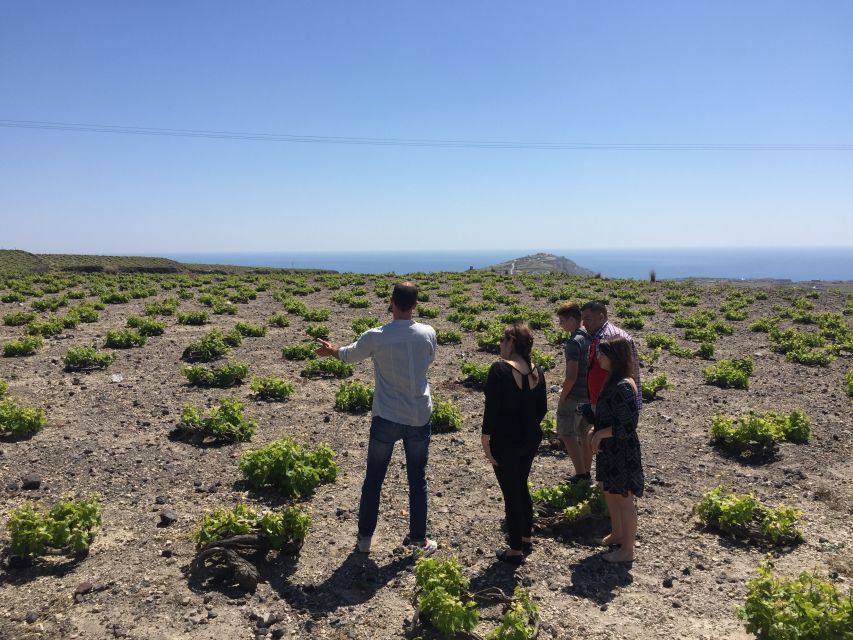 Private Group Visit to Akrotiri & 3 Wineries with Tastings - Timing, comfort, and what to bring