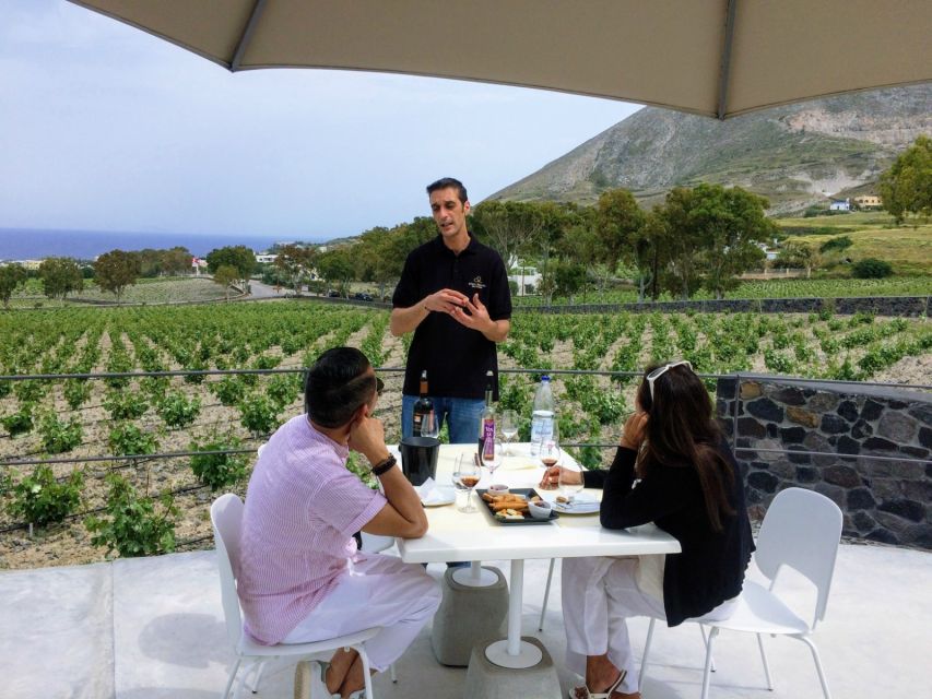 Private Group Visit to Akrotiri & 3 Wineries with Tastings - Is the $294 price worth it?