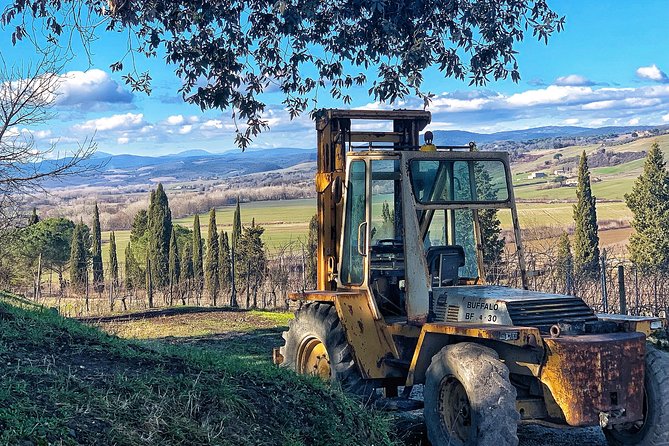 Private Tour: Montalcino Wine Tasting Experience - Abbazia di Sant’Antimo, a worthwhile possible extra
