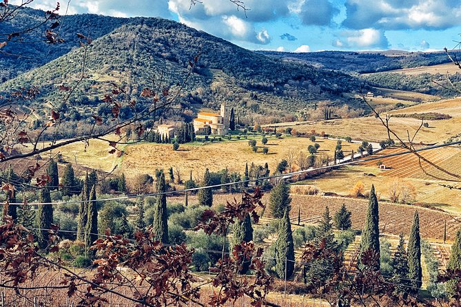 Private Tour: Montalcino Wine Tasting Experience - Booking details worth checking first