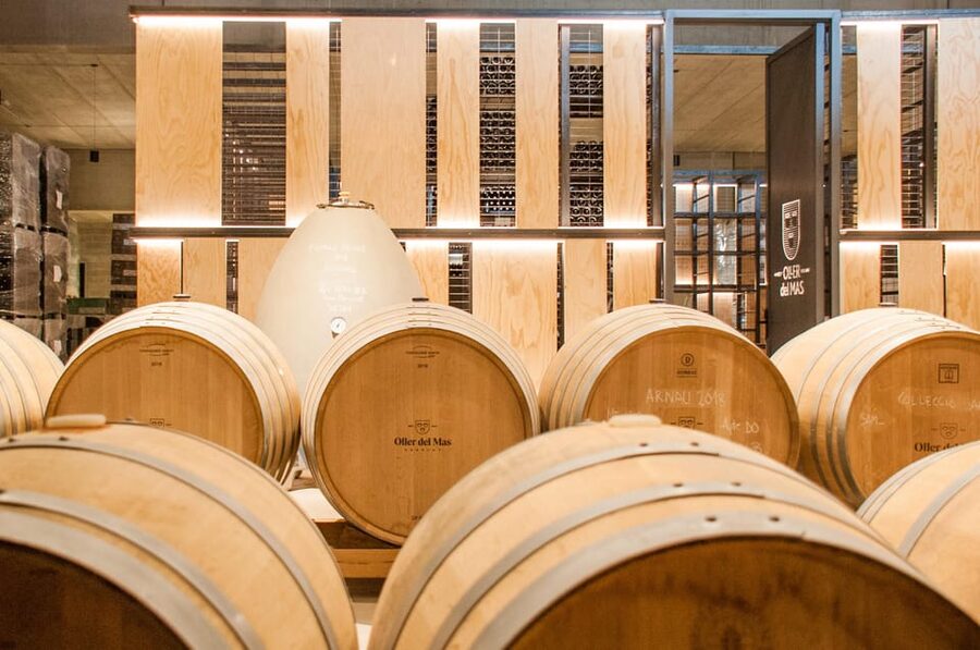 Private Wine, Tapas & Cava Experience from Barcelona - A few practical details before you reserve