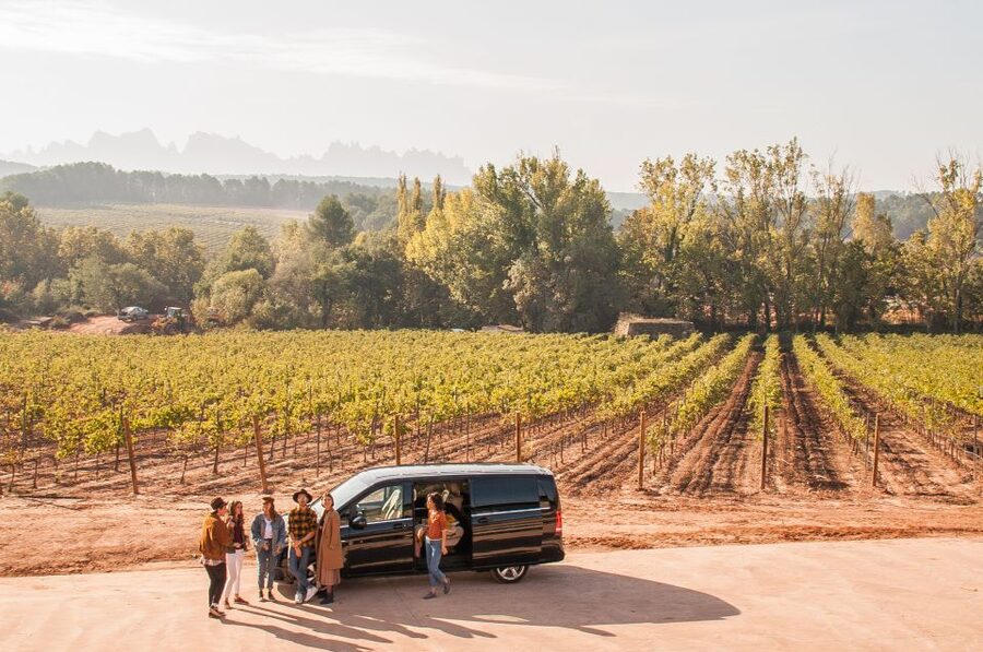 Private Wine, Tapas & Cava Experience from Barcelona - Tapas with the tasting