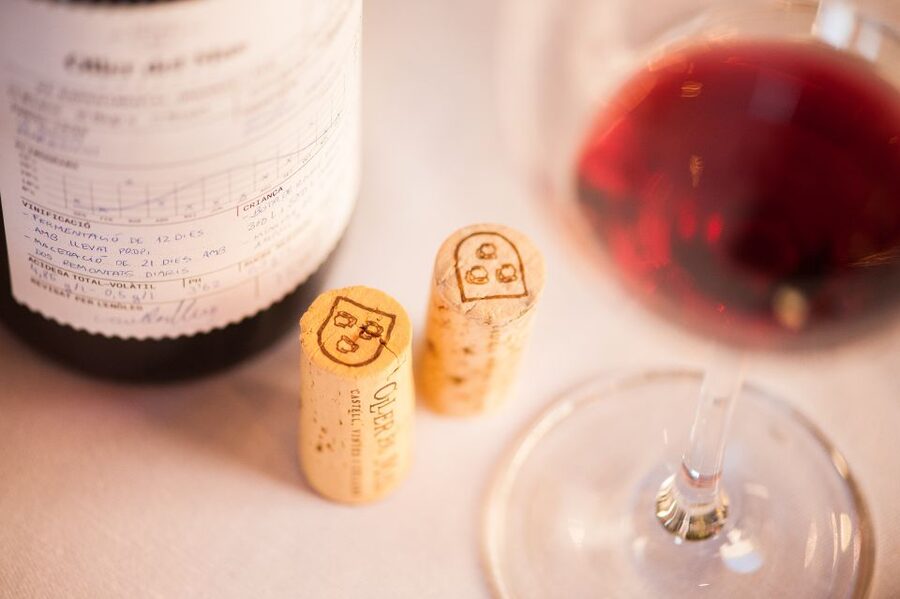 Private Wine, Tapas & Cava Experience from Barcelona - The guides make the day work