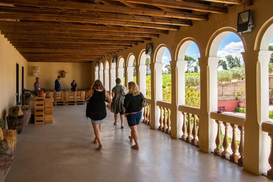 Private Wine, Tapas & Cava Experience from Barcelona - Is $583 per person a fair price?