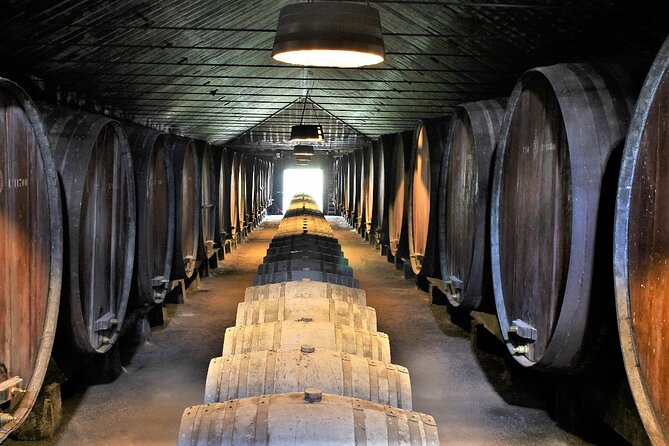 Private Wine Tasting in the Setúbal Wine Region, from Lisbon - Why Setúbal makes a good wine day from Lisbon