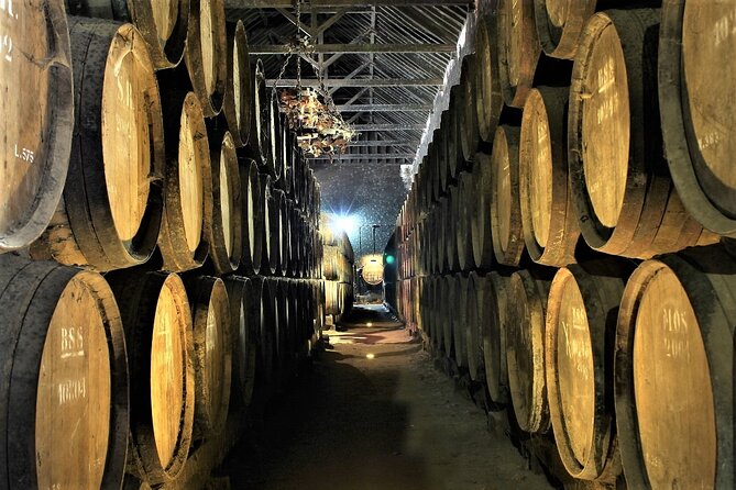 Private Wine Tasting in the Setúbal Wine Region, from Lisbon - Leaving Lisbon in a private car