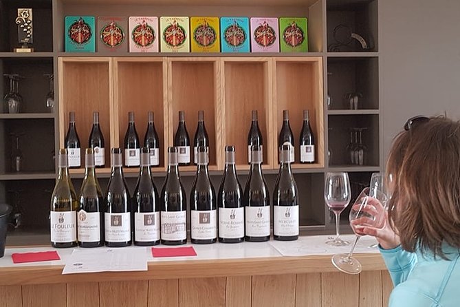 Private wine tasting workshop by Dufouleur - Bourgogne - The opening lesson: vines, soil, weather, and Burgundy’s climats