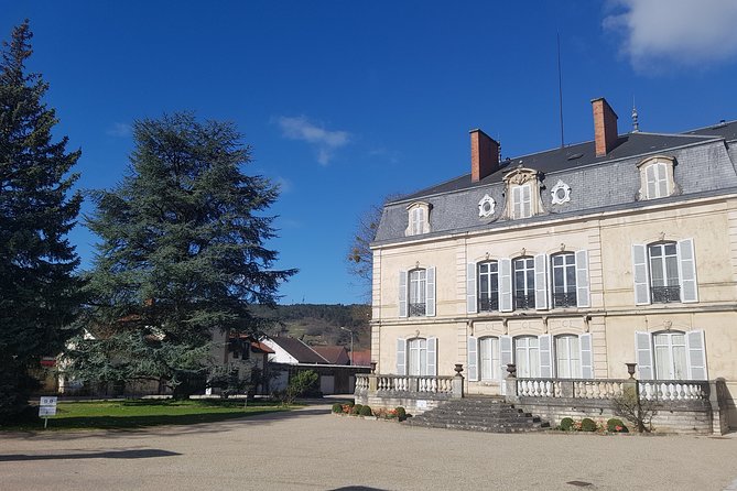 Private wine tasting workshop by Dufouleur - Bourgogne - The tasting: a dozen wines and a useful comparison