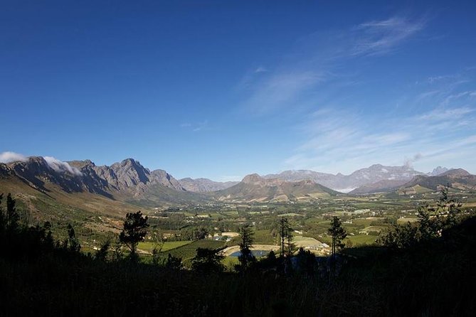 Private Wine Tour with Wine Expert to Stellenbosch-Franschhoek Wine Regions - Timing, transport, and cruise-day planning