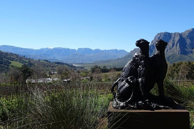 Private Wine Tour with Wine Expert to Stellenbosch-Franschhoek Wine Regions - What the wine teaching is really like
