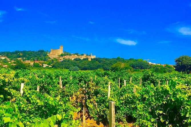 Provence Cru Wine Small-Group Half-Day Tour from Avignon - Why this Provence wine tour works well in half a day