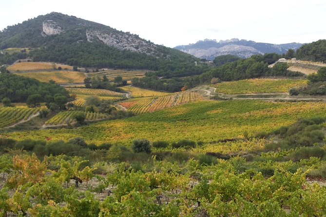 Provence Cru Wine Small-Group Half-Day Tour from Avignon - Châteauneuf-du-Pape and its famous rolled stones