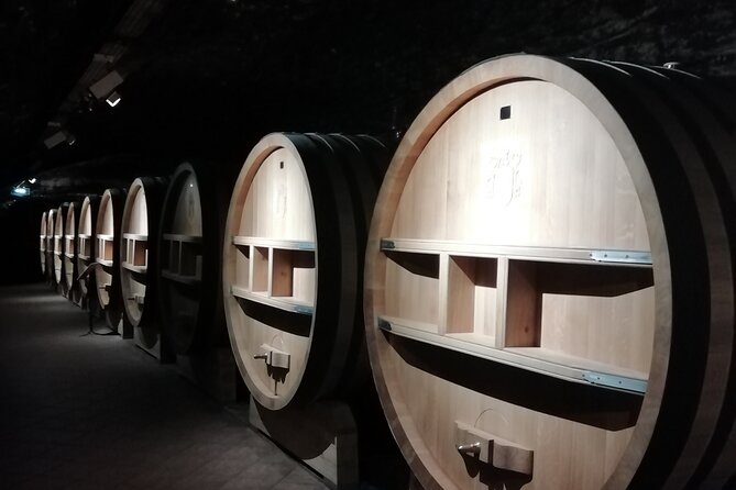 Provence Cru Wine Small-Group Half-Day Tour from Avignon - Gigondas, a village built around wine