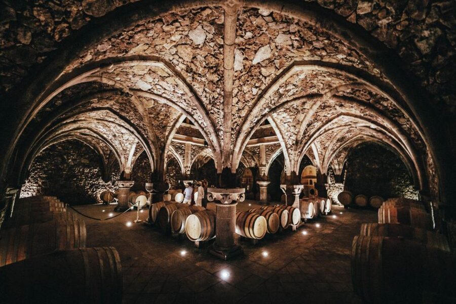 Provence Wine Tour - Small Group Tour from Cannes - Should you book the Provence Wine Tour?