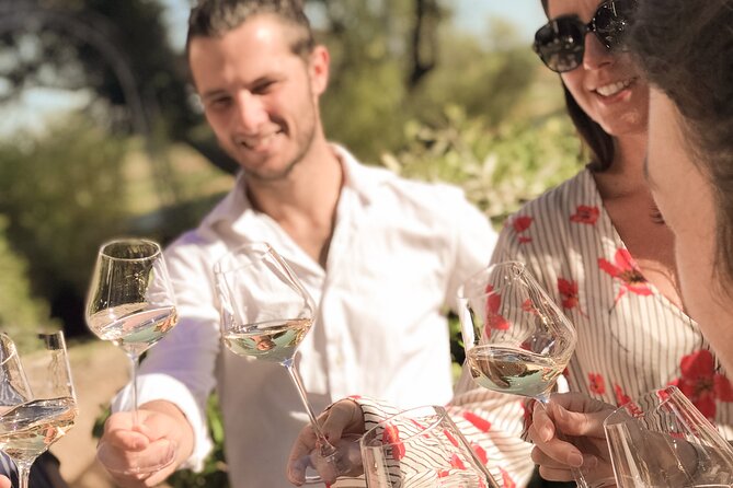 Provence Wine Tour - Small Group Tour from Cannes - The final organic estate and the visual finale