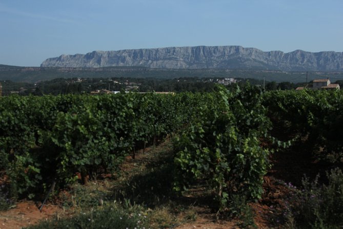 Provence Wineries and Luberon Villages Day Trip from Aix-en-Provence - Why this day works for seeing Provence
