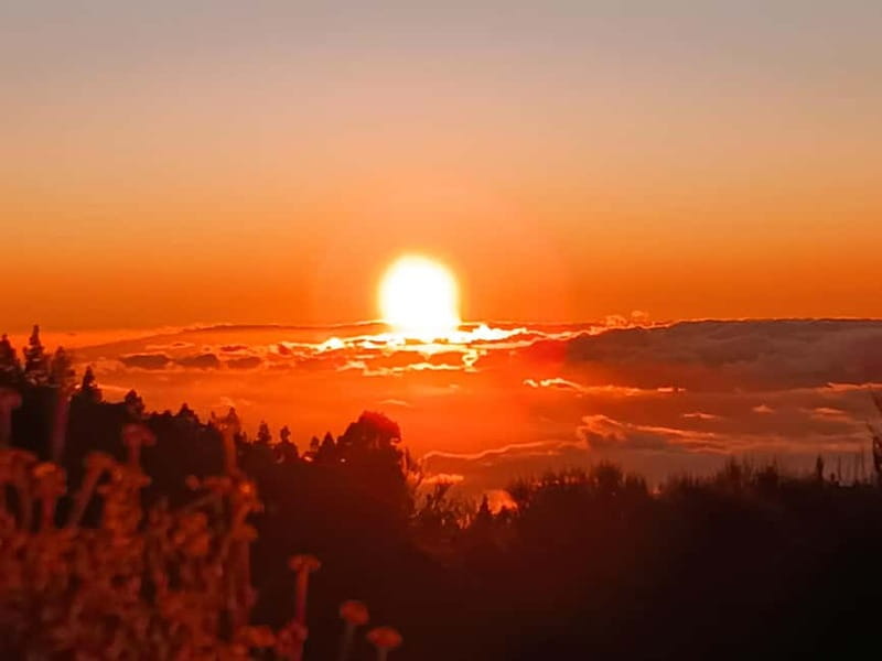 Puerto Cruz: VIP Teide Sunset & Stars, Guachiche Lunch+Cava - What to bring and what not to expect