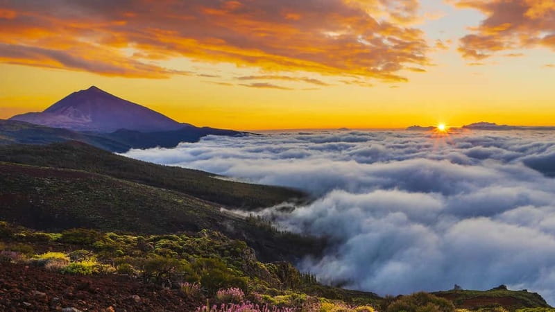 Puerto Cruz: VIP Teide Sunset & Stars, Guachiche Lunch+Cava - The climb through Teide National Park
