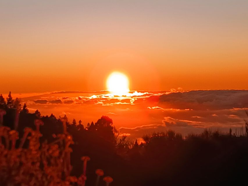 Puerto Cruz: VIP Teide Sunset & Stars, Guachiche Lunch+Cava - Coffee at El Portillo before the stars