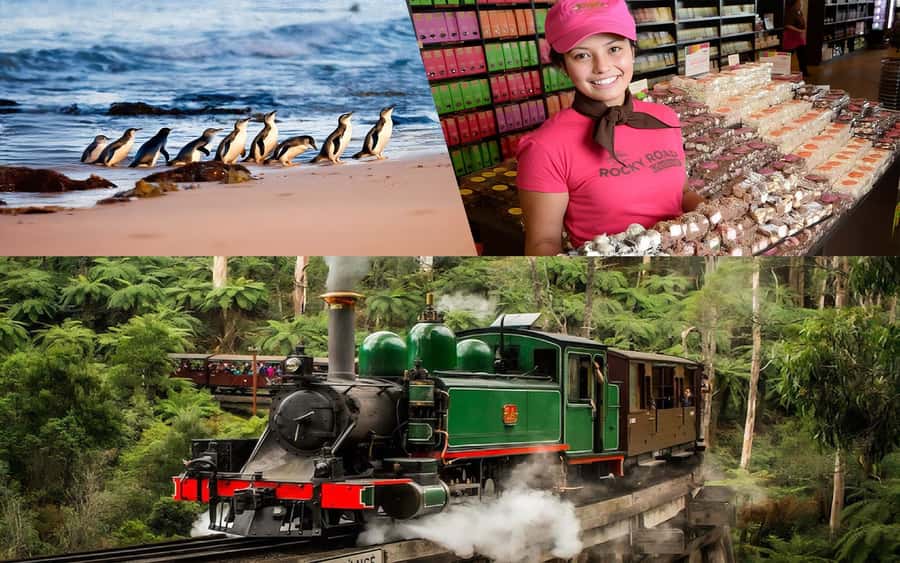 Puffing Billy Penguin Parade Winery Chocolaterie All-in-One - One long day, four very different Australian highlights