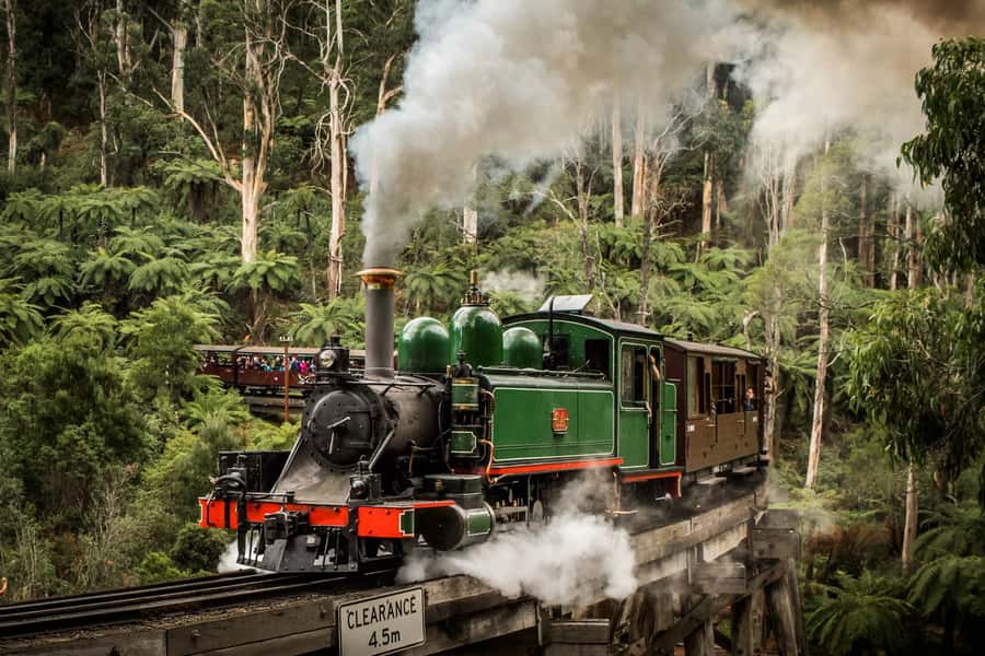 Puffing Billy Penguin Parade Winery Chocolaterie All-in-One - Cool-climate wine at Rochford Wines