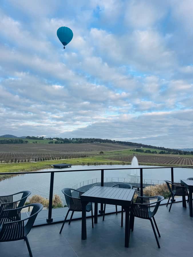 Puffing Billy Penguin Parade Winery Chocolaterie All-in-One - Guides make the packed schedule easier