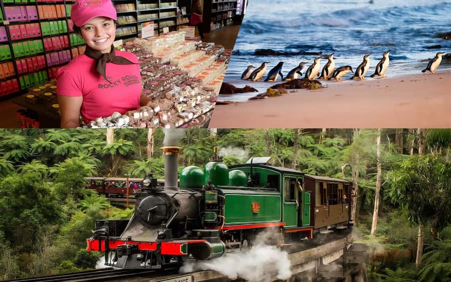 Puffing Billy Penguin Parade Winery Chocolaterie All-in-One - Chocolate first at the Yarra Valley Chocolaterie