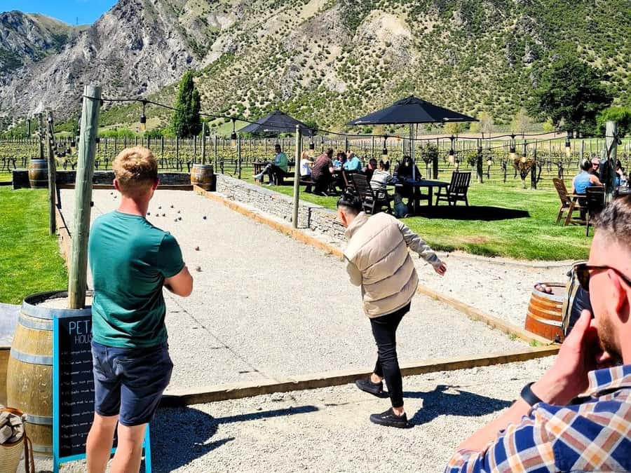 Queenstown, Arrowtown, Gibbston: Flexible Wine Hopper Tours - Booking advice for a better afternoon