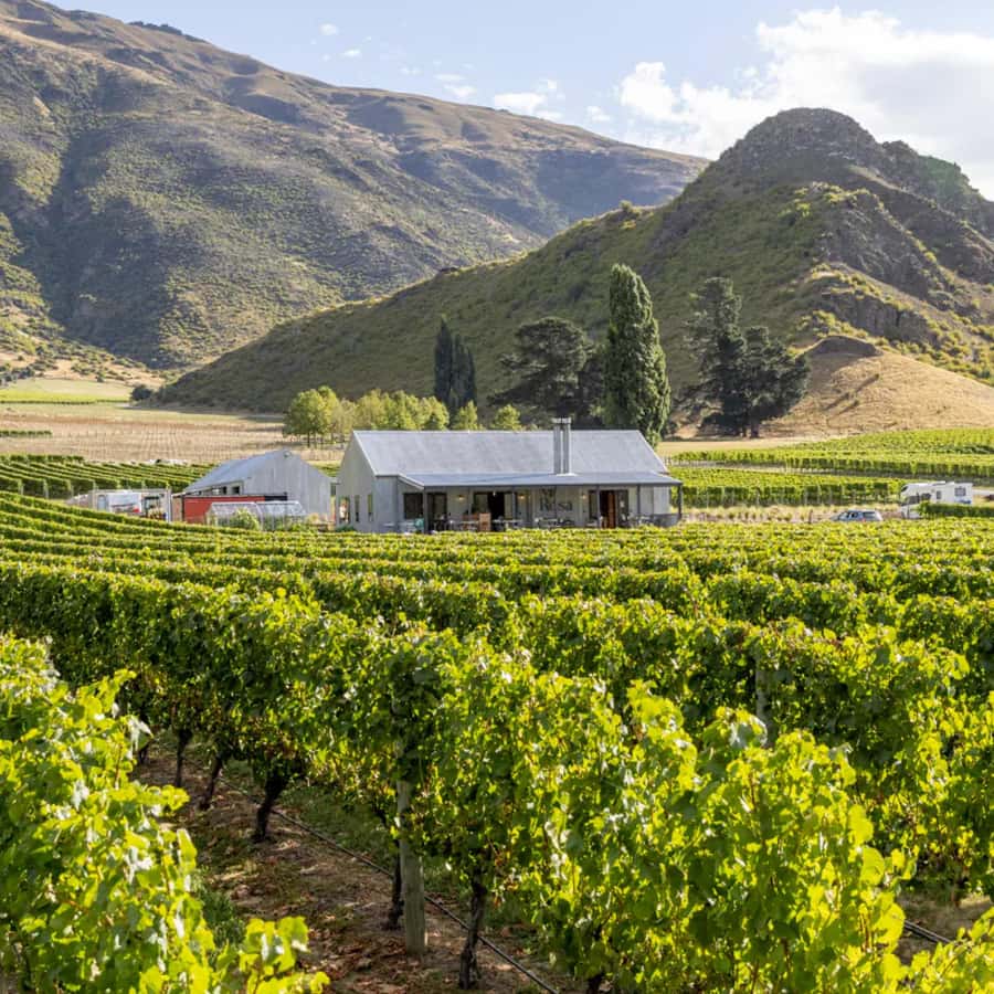 Queenstown, Arrowtown, Gibbston: Flexible Wine Hopper Tours - From Queenstown to the Valley of Vines