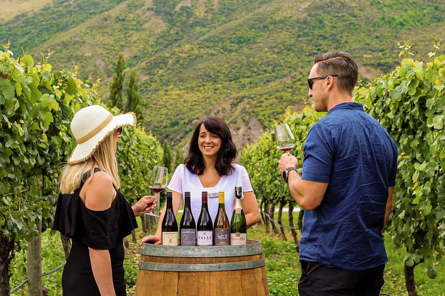 Queenstown: Classic Wine Tour - Key points at a glance