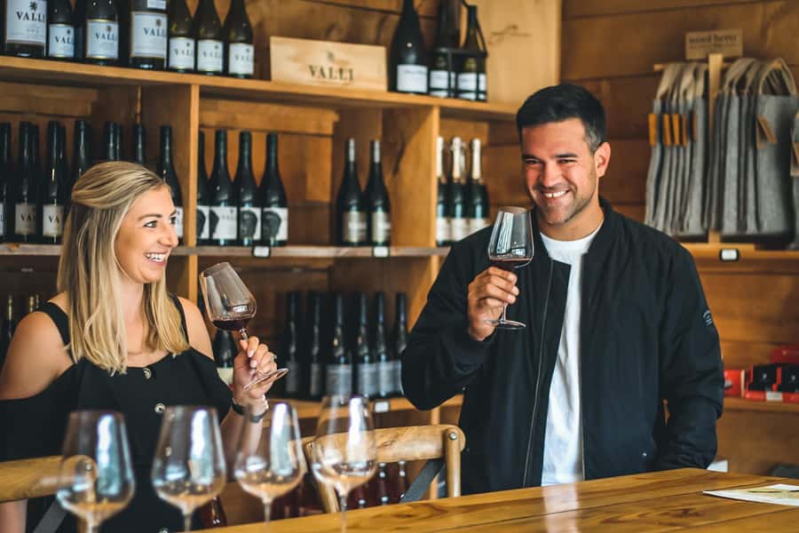 Queenstown: Classic Wine Tour - The guide makes the difference