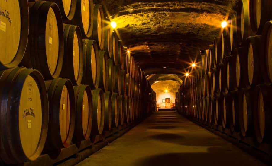 Queenstown: Classic Wine Tour - Adding a morning activity