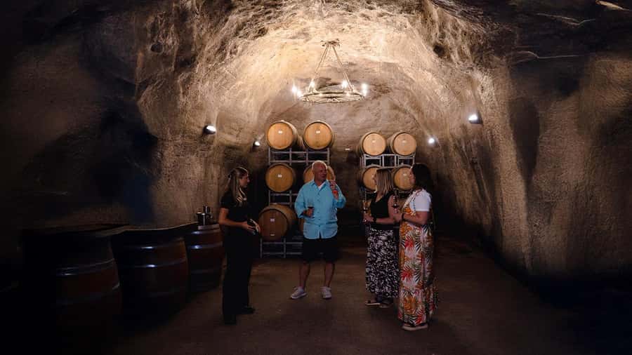 Queenstown: Classic Wine Tour - A scenic ride through the Kawarau Gorge