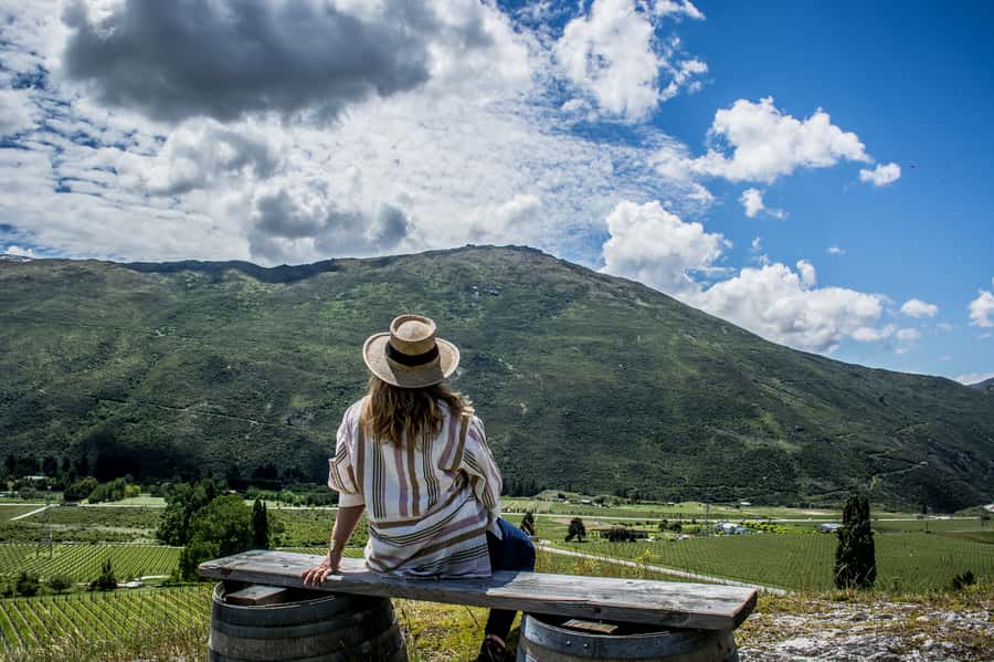 Queenstown & Gibbston Valley: Hop-On Hop-Off Wine Tours - How the Queenstown wine bus works