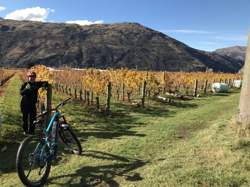 Queenstown: Guided E-Bike Tour with Winery Visits & Tastings - Should you book Ride to the Sky?