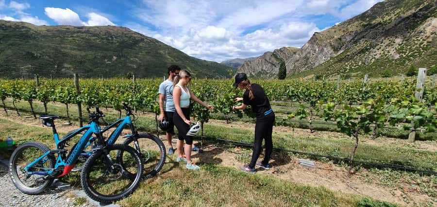 Queenstown: Guided E-Bike Tour with Winery Visits & Tastings - From Frankton to Arrowtown by shuttle