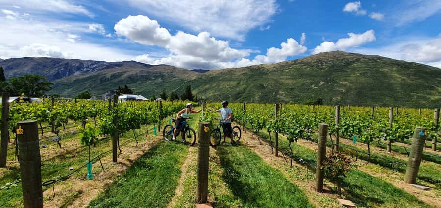 Queenstown: Guided E-Bike Tour with Winery Visits & Tastings - The Kawarau Bridge stop