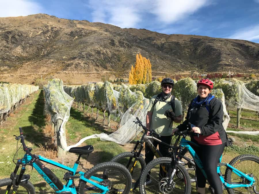 Queenstown: Guided E-Bike Tour with Winery Visits & Tastings - Gibbston Valley and Central Otago vines