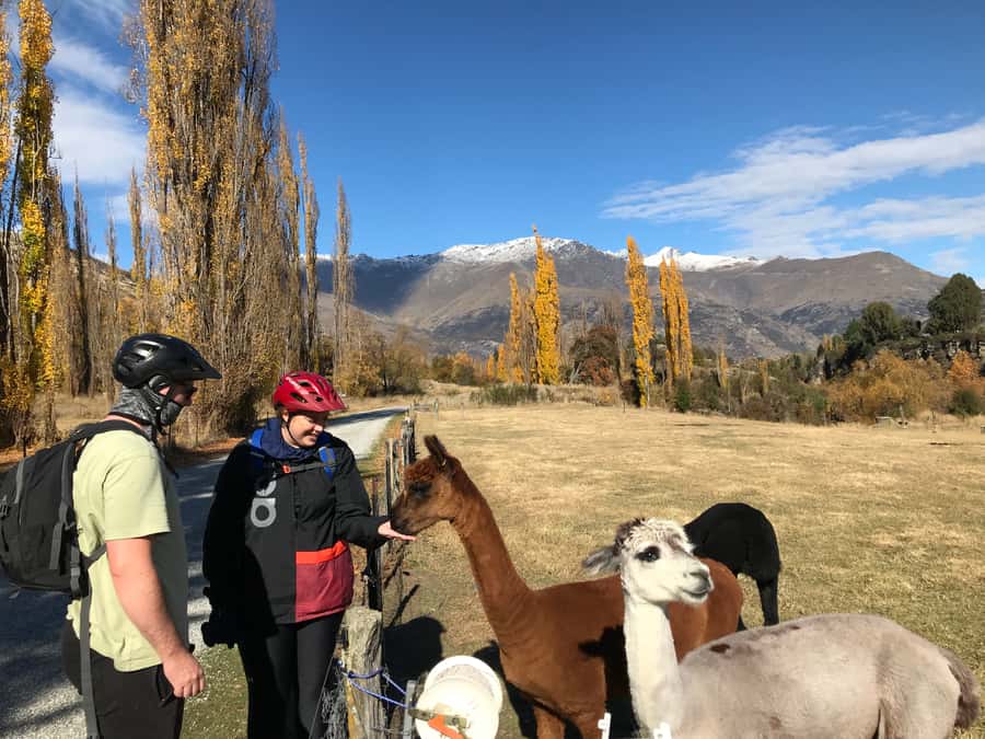 Queenstown: Guided E-Bike Tour with Winery Visits & Tastings - Arrowtown, rivers, and old suspension bridges