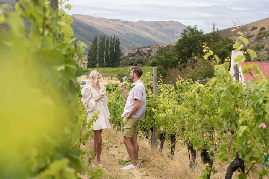 Queenstown: Original Premium Half-Day Gibbston Wine Tour - Why Gibbston makes a fine half-day from Queenstown