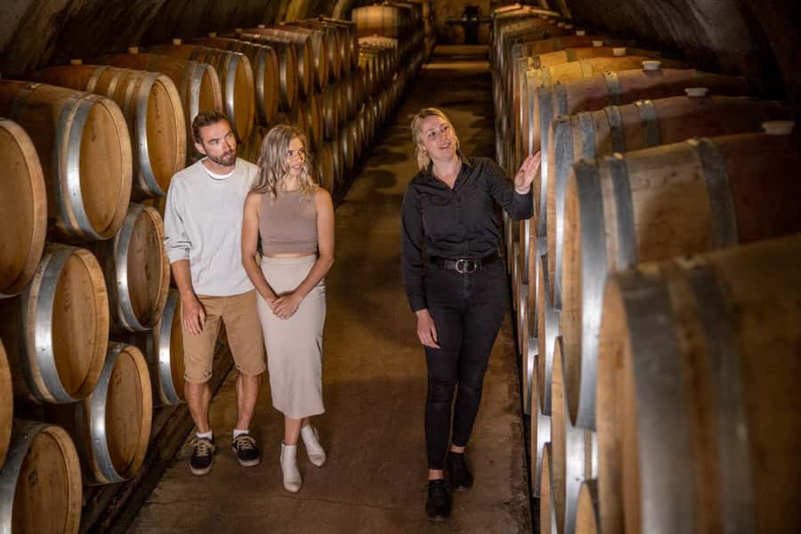 Queenstown: Original Premium Half-Day Gibbston Wine Tour - Practical advice for a smoother afternoon