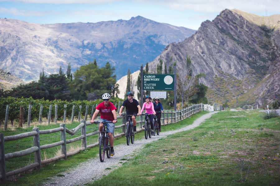 Queenstown: Self-Guided Gibbston Valley Wineries Bike Tour - Key points at a glance